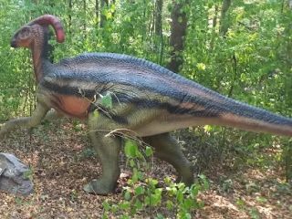 Parasaurolophus
